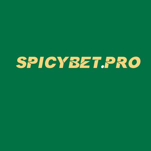 Logo da SPICYBET.PRO